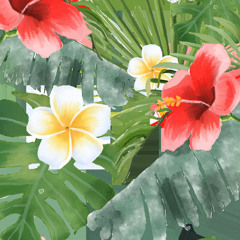 Doechii, Sade - Smooth Anxiety Operator Mash UP