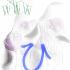 ø,¸¸,ø ☢ꜰɪʀꜱᴛᴄᴏʟᴜᴍᴇ 6ɪꜱᴛᴀꜱ ʙᴇʀʟɪʀᴀꜱ☢ ø,¸¸,ø