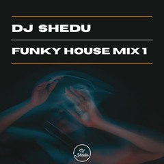 Funky House Mix 1