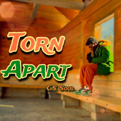 Torn Apart (Prod. Young enzo)