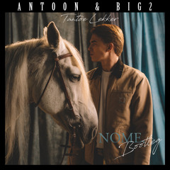 Antoon & Big2 - Tantoe Lekker (NOME. Bootleg)
