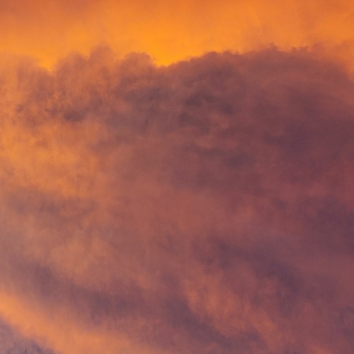 Shitty autotune song (idk the prod)