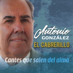 Cádiz bonita (Alegrías) [feat. Manuel Herrera]