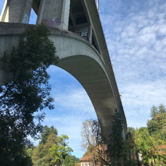 SDC