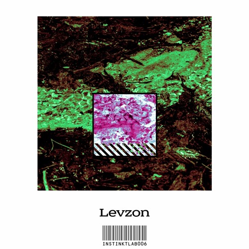 Snippets: INSTINKTLAB006 | Levzon