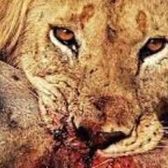 OH No! SNAPPIN Ft. SINO