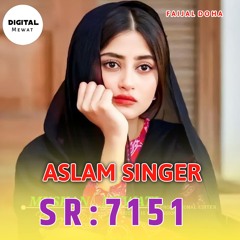 Aslam Singer Sr 7151