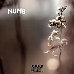 Numb (Soundcloud Exclusive)