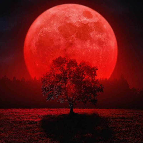 NEW DAWN