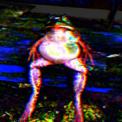 beat an amphibian would produce perhaps