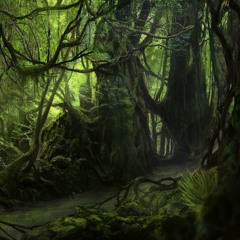 Deep Fog