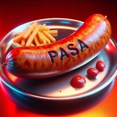 PASA - Wurst (prod. by SLBEATZ)