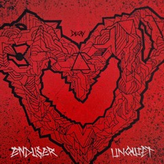 Enduser - Unquiet LP Promo Mix 2025