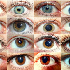 die rich (prod. cozy)