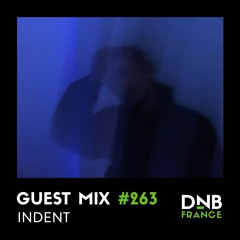 Guest Mix #263 - Indent