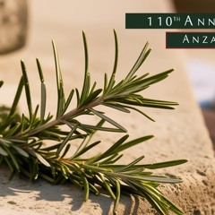 The Anzac Spirit Lives in You - Primary Schools 1