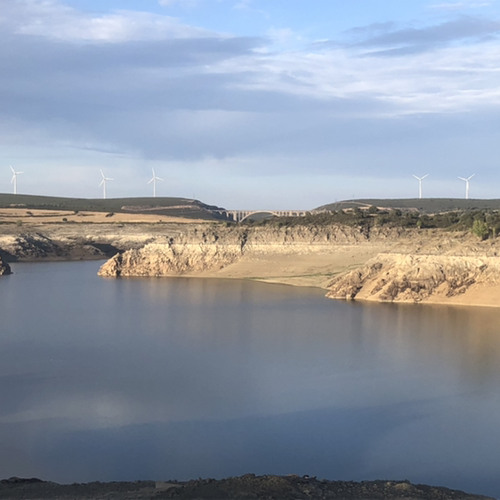 In My Own Words (Demo)