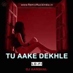 Tu Aake Dekhle (Lo-fi) DJ Harshal X Remix Muzik India