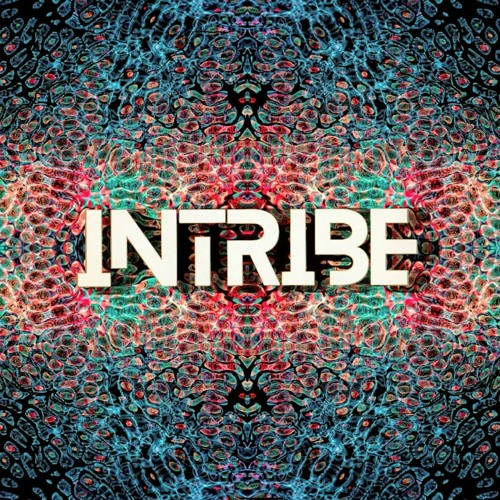 33 Minutes Of Psychedelic Journey - INTRIBE