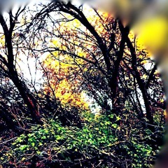 I WAS CLIMBING: RISING HIGH