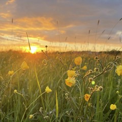 Sommar, sommar, sommar.mp3