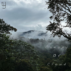 Canopy Of Cloud