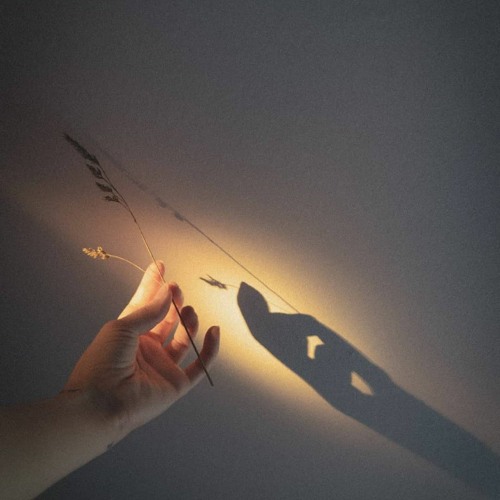 القارئ عبدالرحمن مسعد  تلاوة خاشعة من سورة يونس