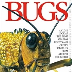 READ [EPUB KINDLE PDF EBOOK] Big Book of Bugs by  DK 📙