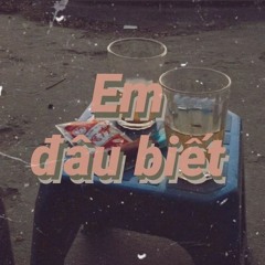 Em đâu biết - Hoa Thai