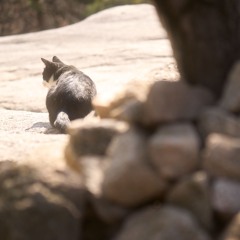 가끔우린너무게으른가싶어