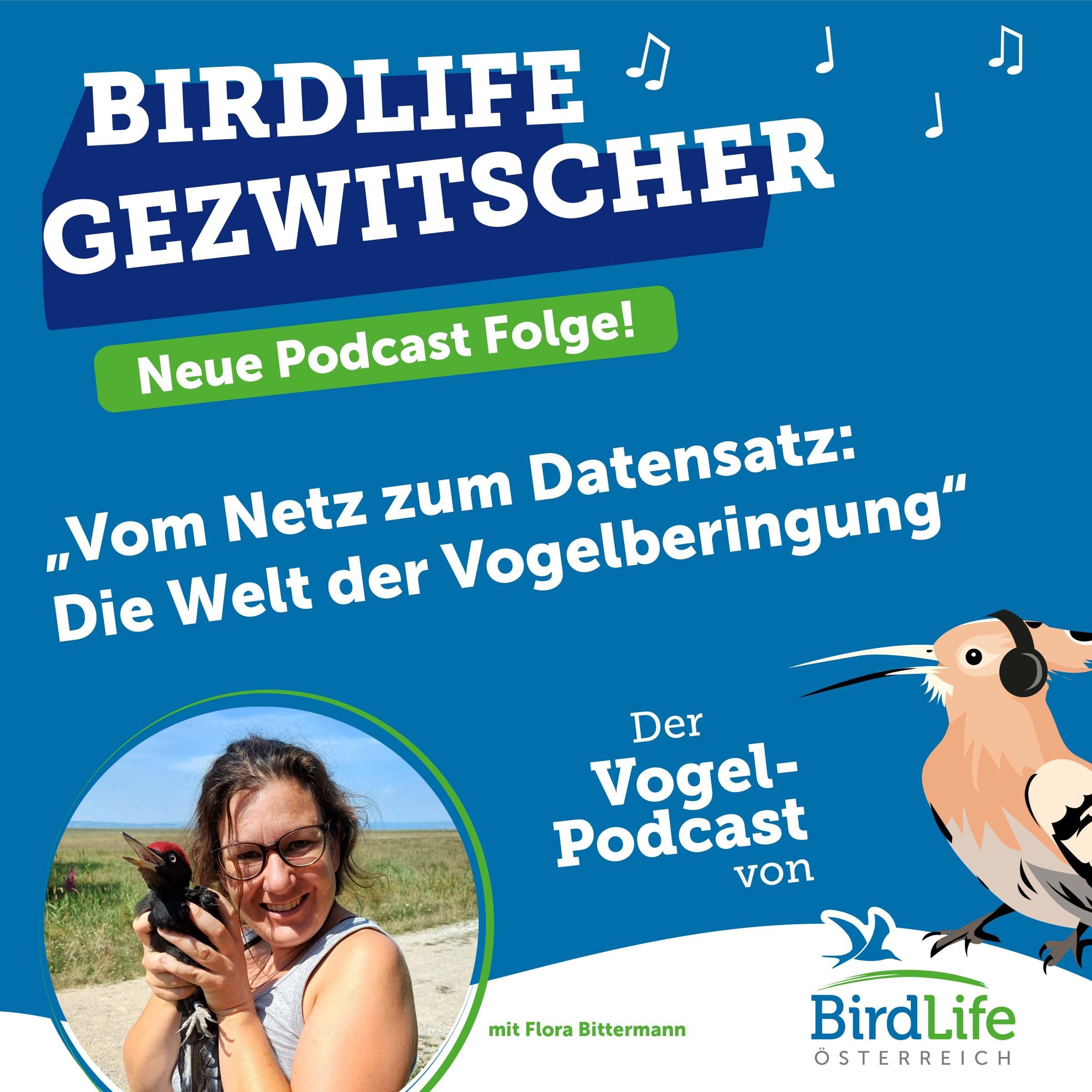 BirdLife Gezwitscher