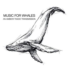 All Music for Whales in a row