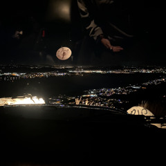 elvis presley - don't (cover)