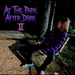 At The Park After Dark P2