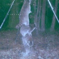 апрель навсегда