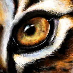 Eye of the tiger [Remix]