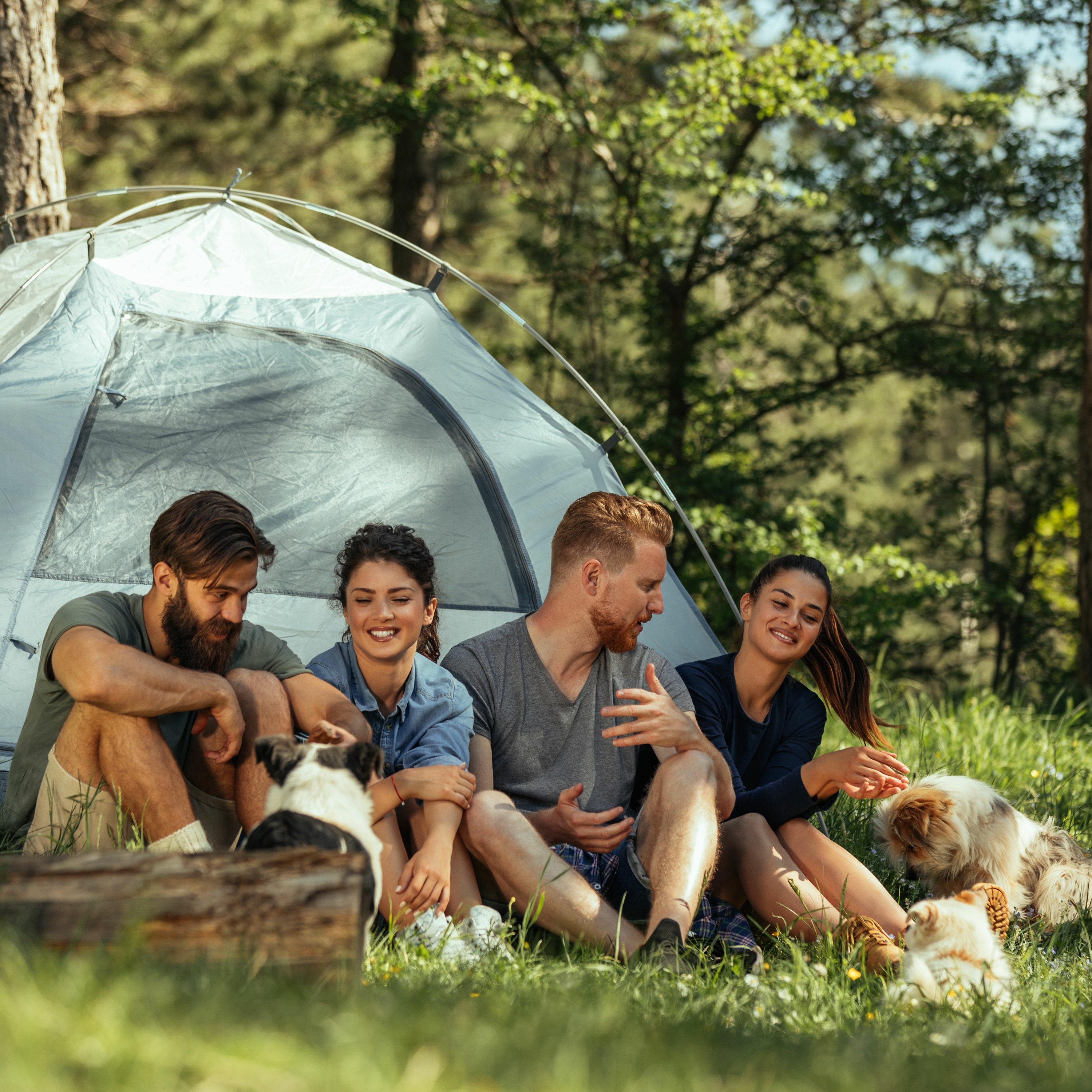 Going Camping - Commercial Background Music | Royalty Free Music episode artwork