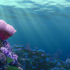 Finding Nemo rescore