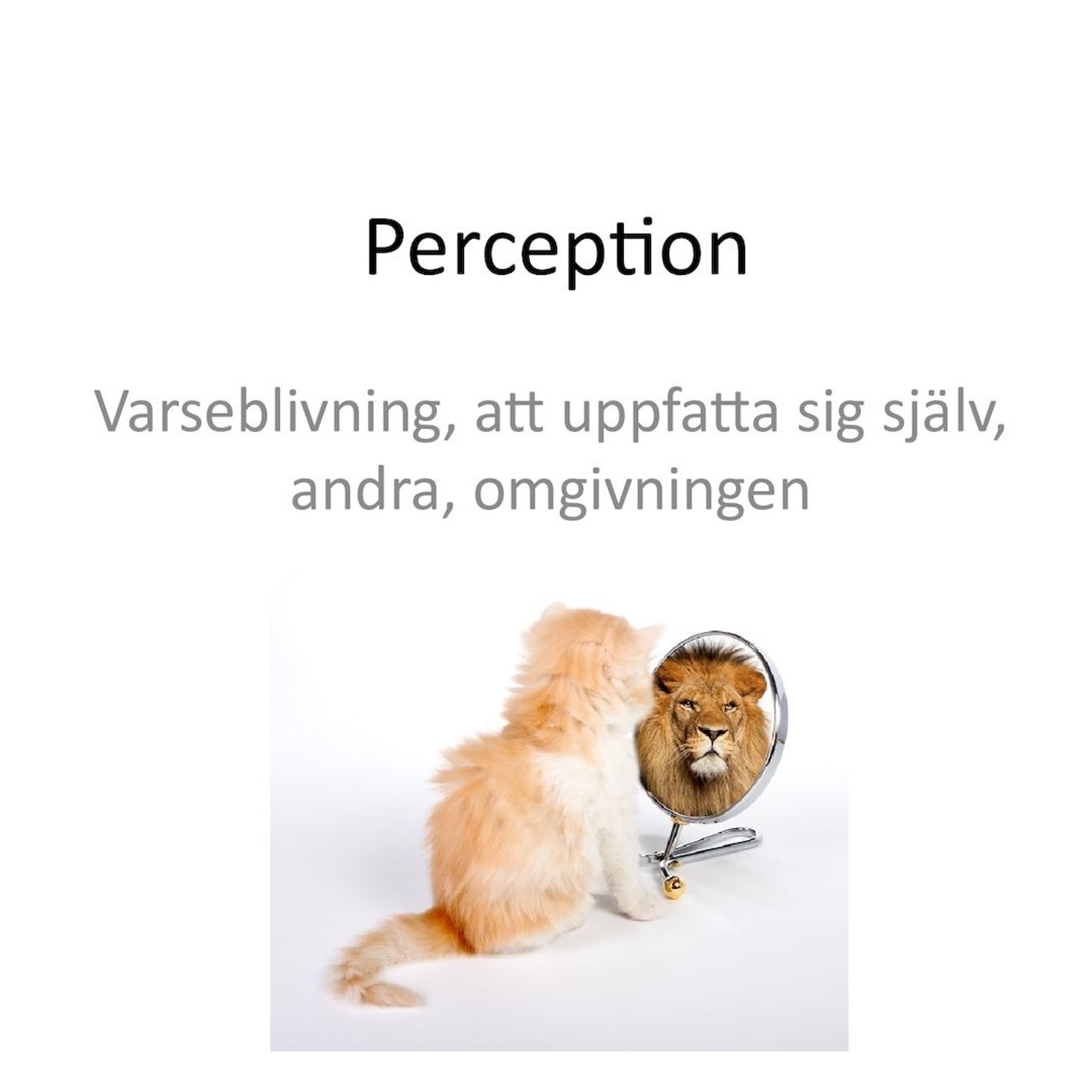 EP 151 - Du vet f-n inte vad den andra personen går igenom episode artwork