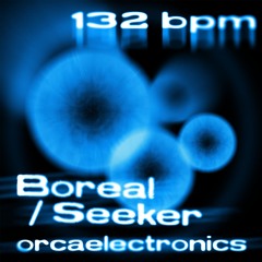 Seeker (Ping Ü!)