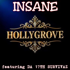 14. HOLLYGROVE