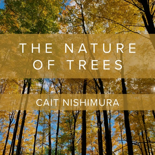 Stream THE NATURE OF TREES Cait Nishimura x IU Concert Band by Cait