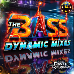 The Bass Dynamic Mixes / #14 / Fast EDM