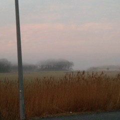 One Foggy Morning