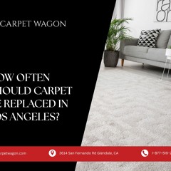 How Often Should Carpet be Replaced in Los Angeles_