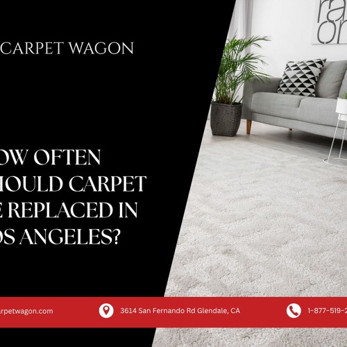How Often Should Carpet be Replaced in Los Angeles_