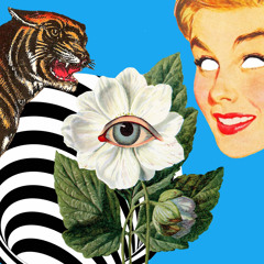 Tiger's Guide to Sleep Paralysis