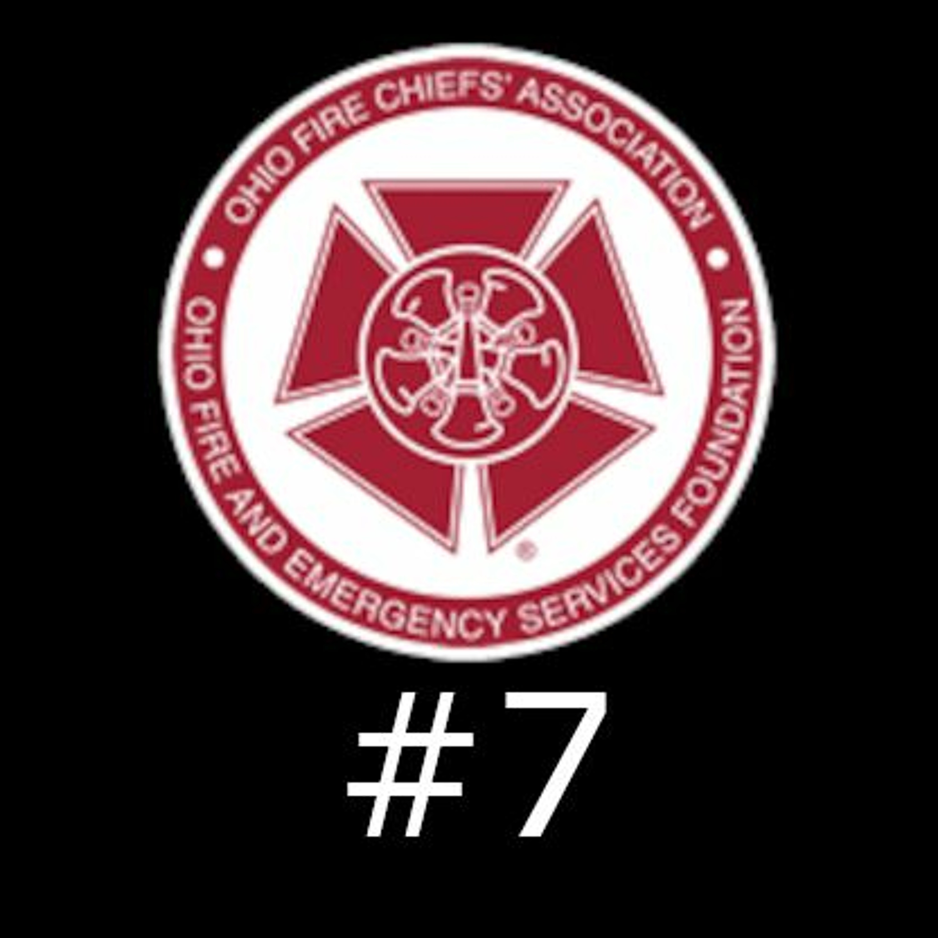 Episode 7 - Part 1 - Chief Josh Hartbarger and Chief Doug Meyer - The W3 Cooperative episode artwork
