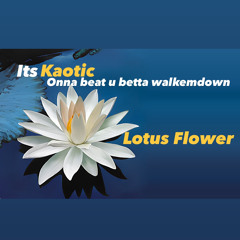 LOTUSFLOWER @kaoticcc_