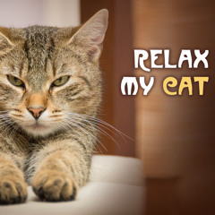Soothing Music for Cat and Dog
